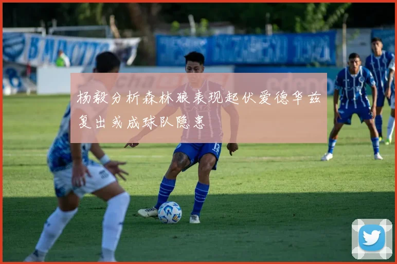 杨毅分析森林狼表现起伏爱德华兹复出或成球队隐患